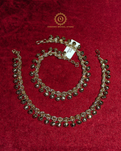 Payal Hnx404350