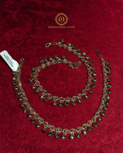 Payal Hnx404050