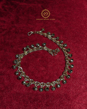Payal Hnx404050