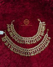 Payal Os249