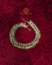 Payal Os319