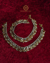 Payal Orntl