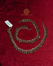 Payal Hnx404150