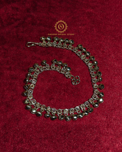 Payal Hnx404150