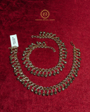 Payal Hnx405250