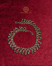 Payal Hnx405250