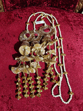 Parandi Dfs3123099
