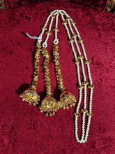 Parandi Dfs433211